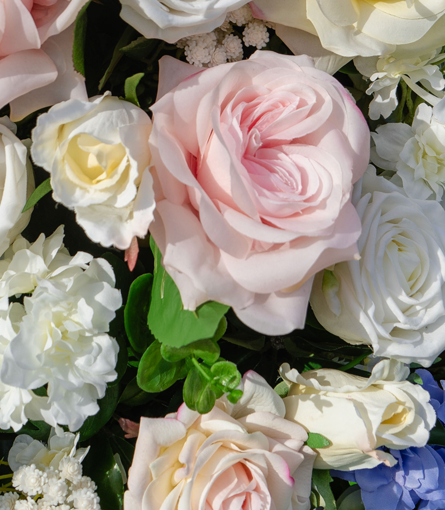 The Rosalind - Image 2