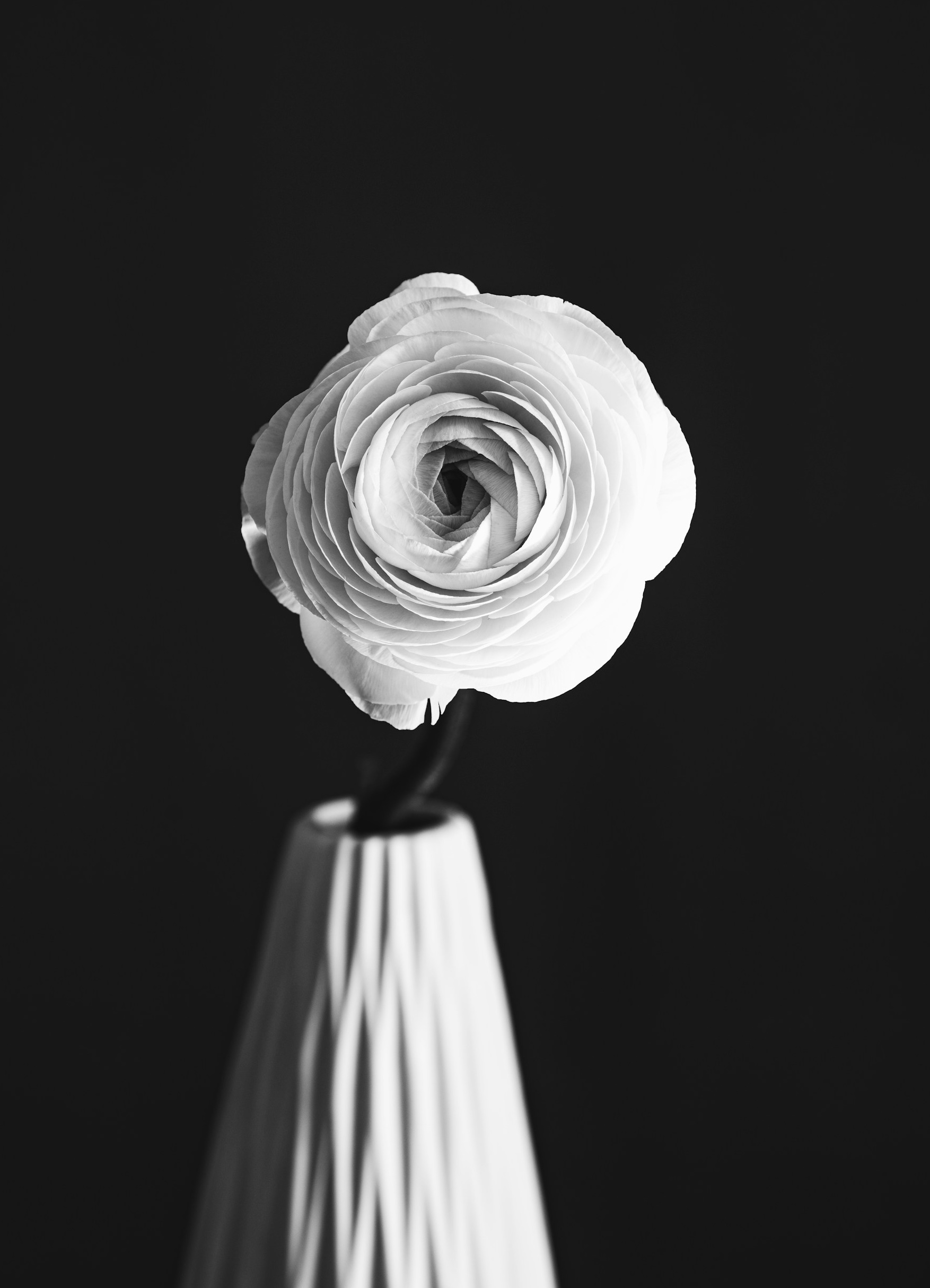 Close-up of a realistic artificial blush pink rose with delicate petals.